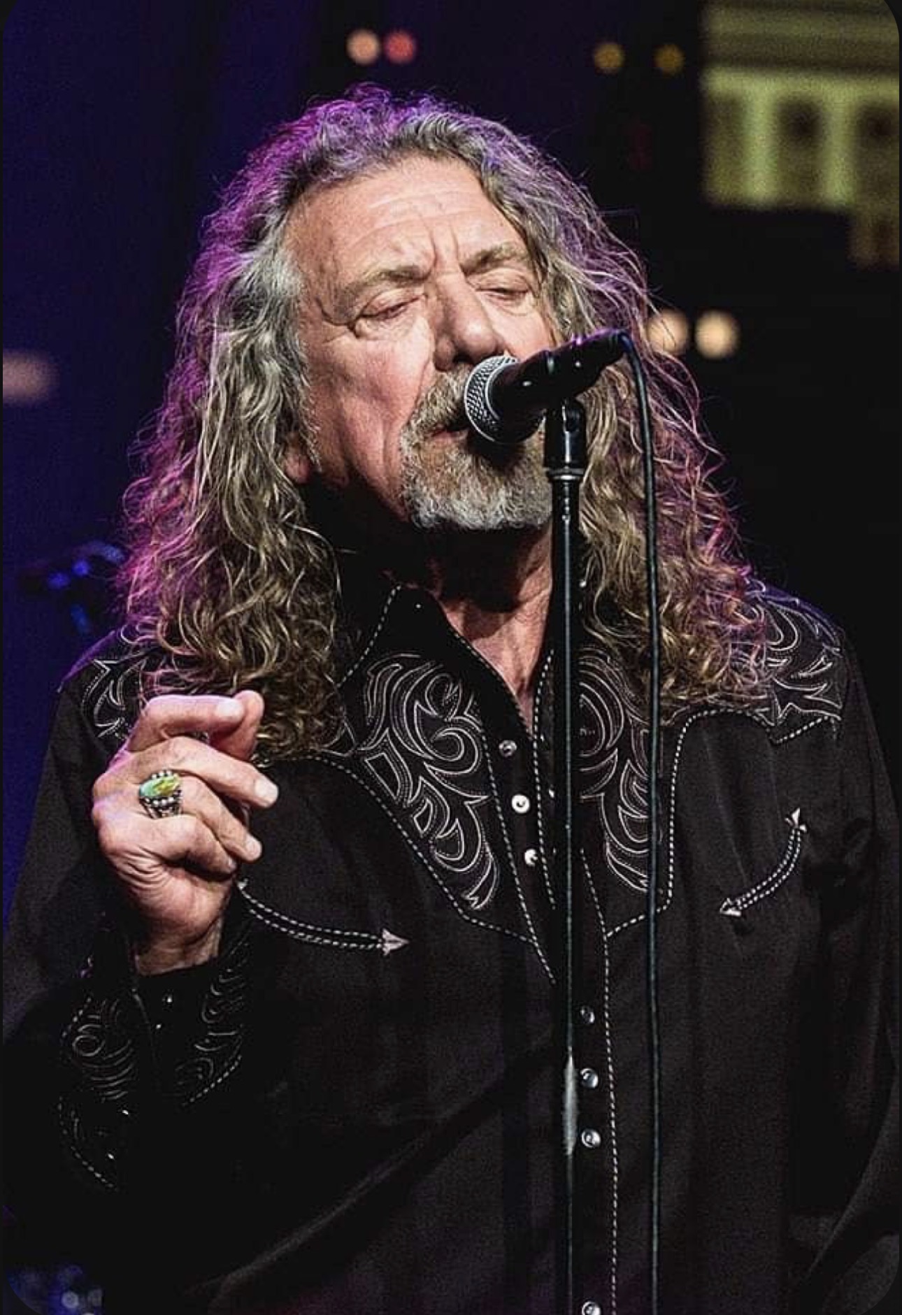 Robert plant 